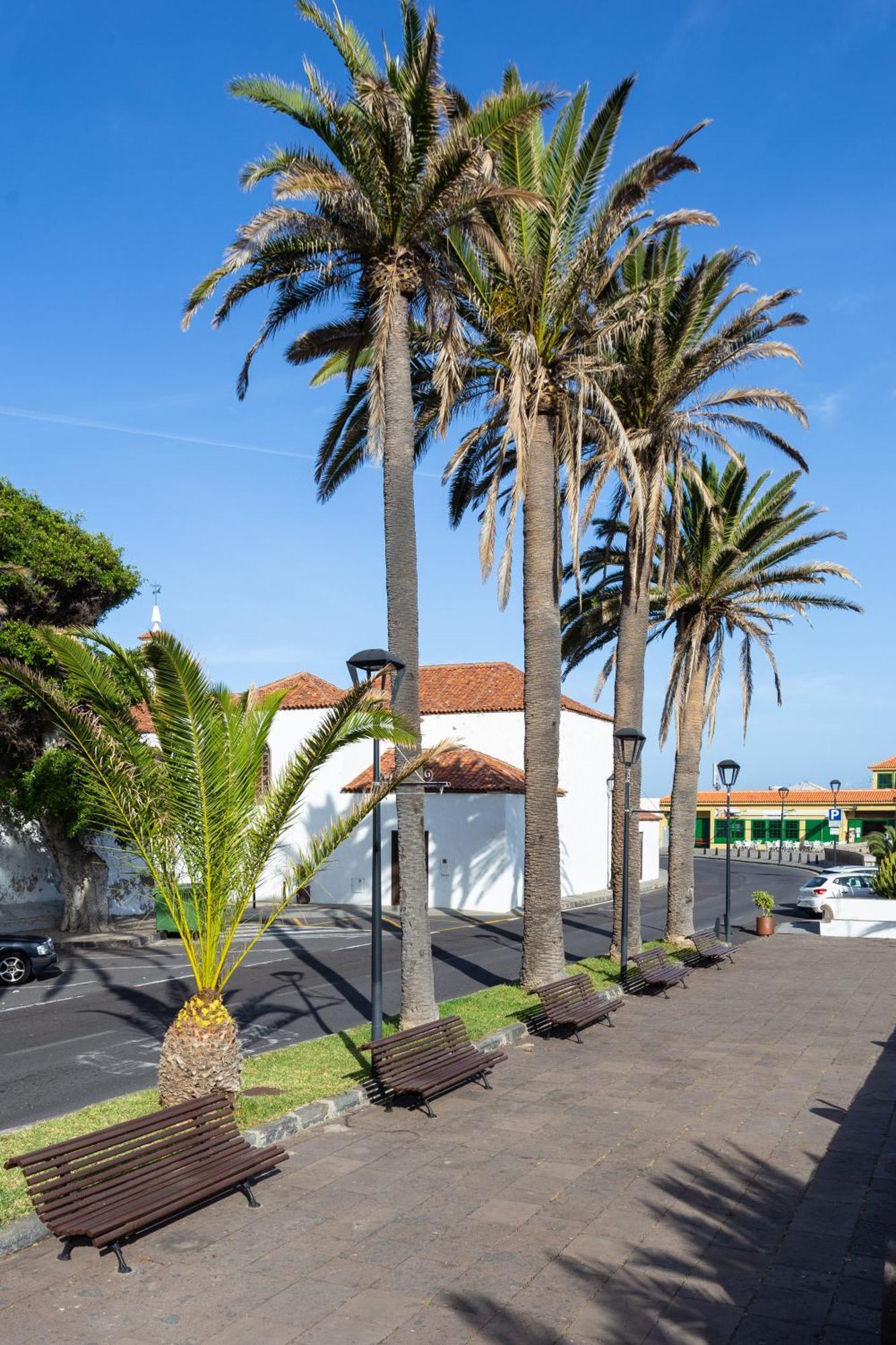 El Hostal Del Cubo San Juan de la Rambla Kültér fotó